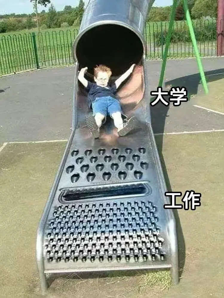 大学与工作呜呜呜呜呜呜呜搞笑图片梗图合集