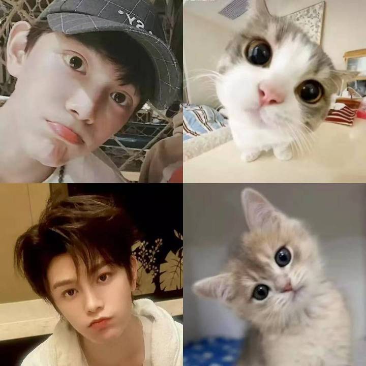 猫塑丁禹兮☺️ ​​​