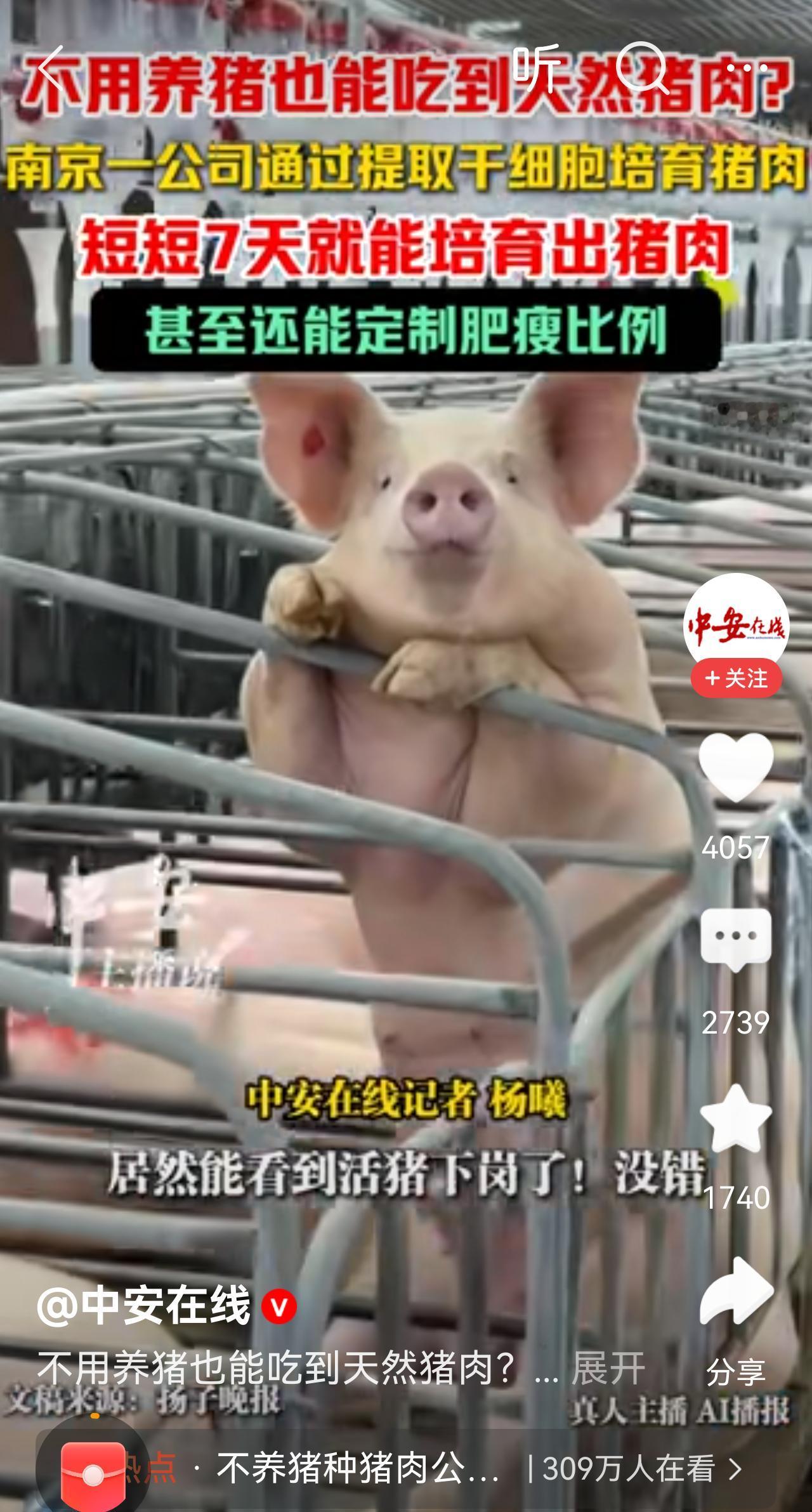 坚决抵制人工猪肉