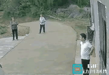 这条狗最后有没有咬到人？反复看了几遍，应该是没有咬到人，狗这东西喜欢撒欢，也许这