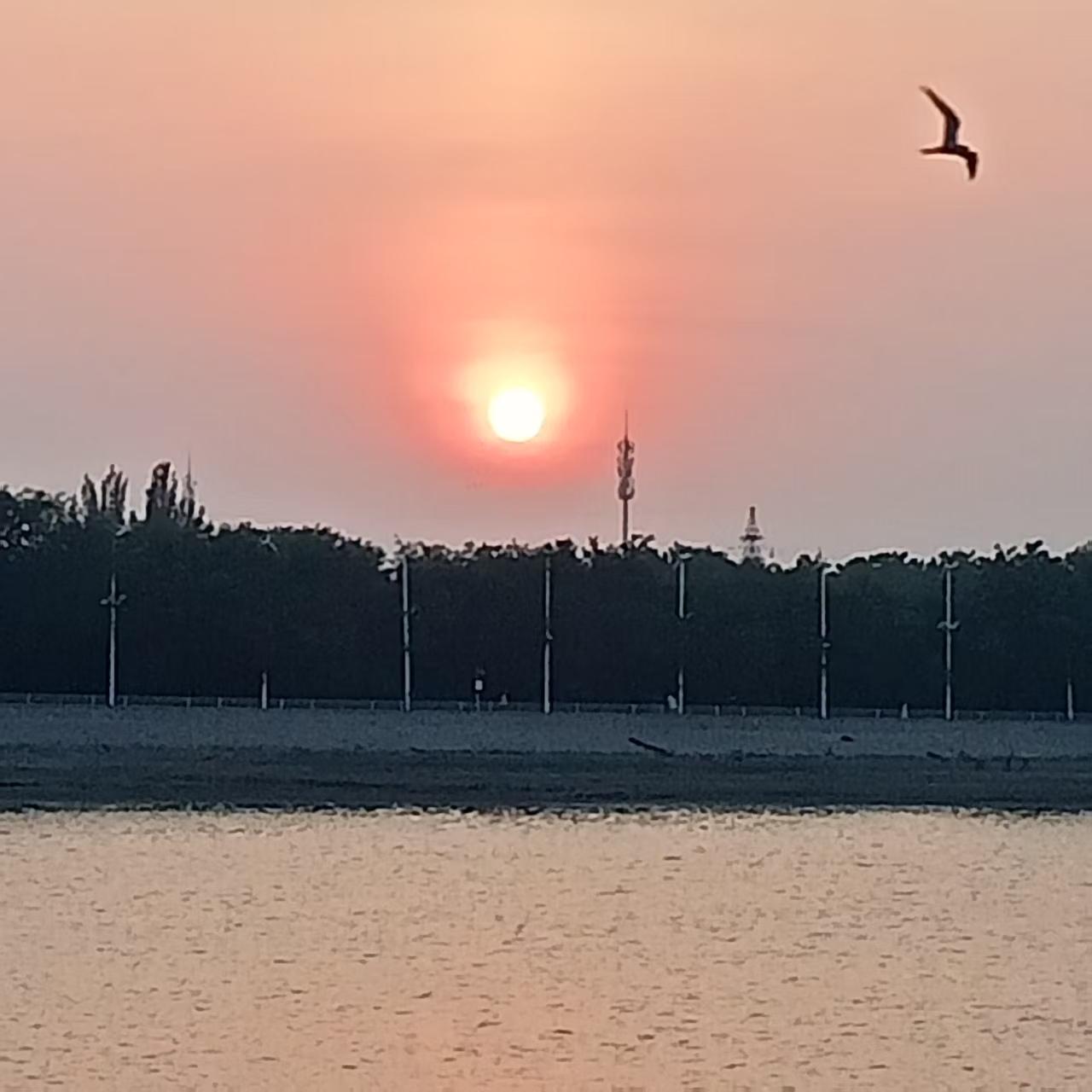 上联：朝朝旭日出东海，请接下联暮暮夕阳落西山。