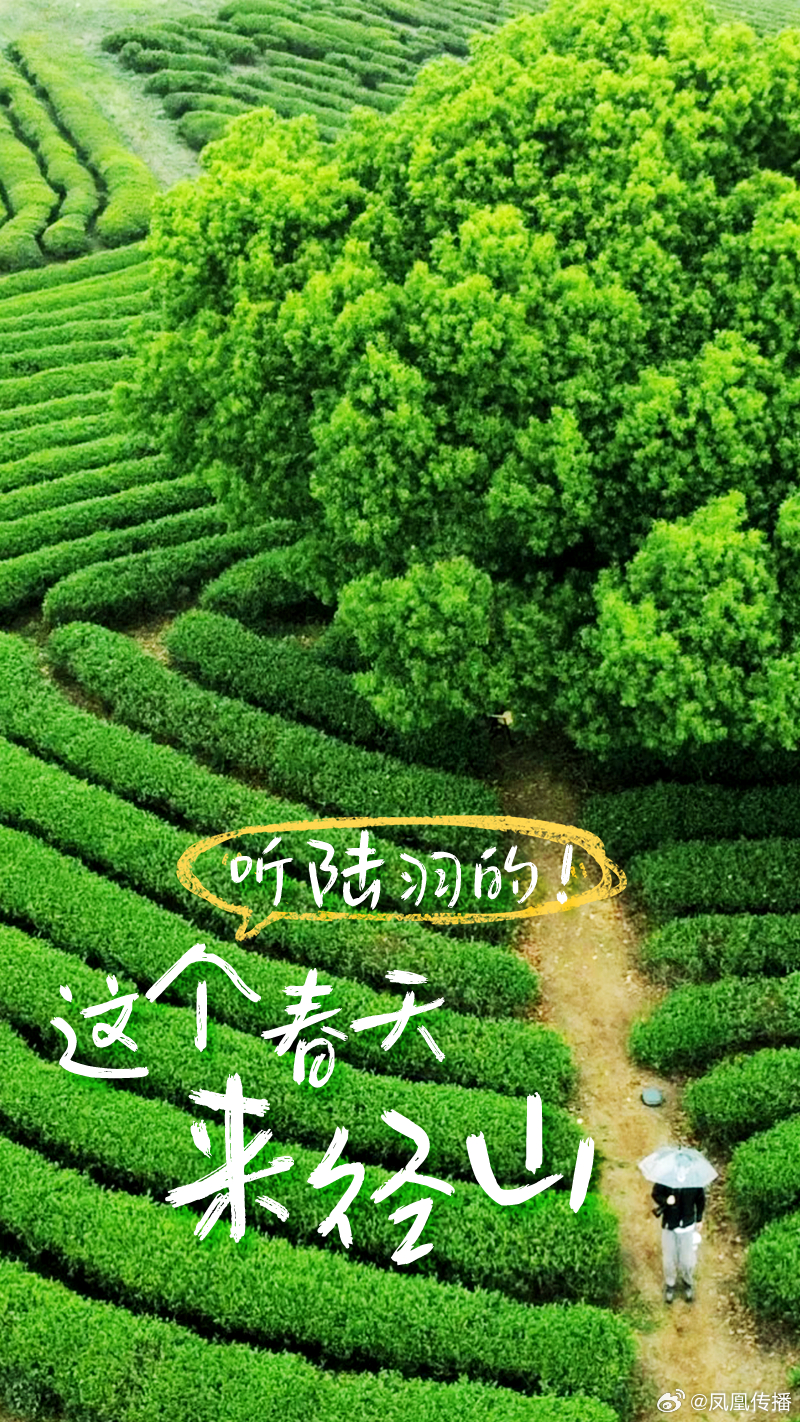 余杭好地方 余杭有周末 沪外1小时余见5000年【余杭春季旅游推荐丨听陆羽的！这