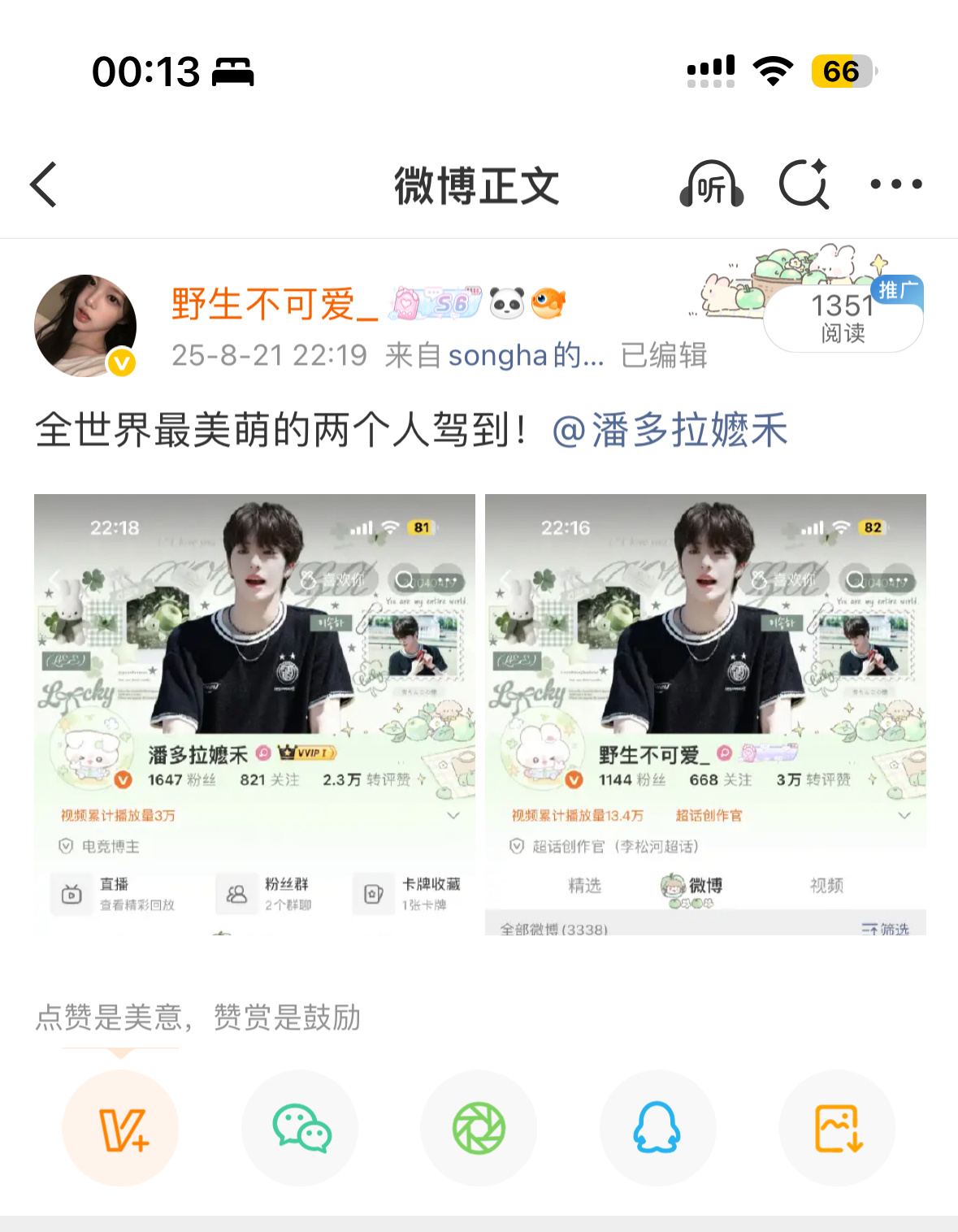 情绿装一周年