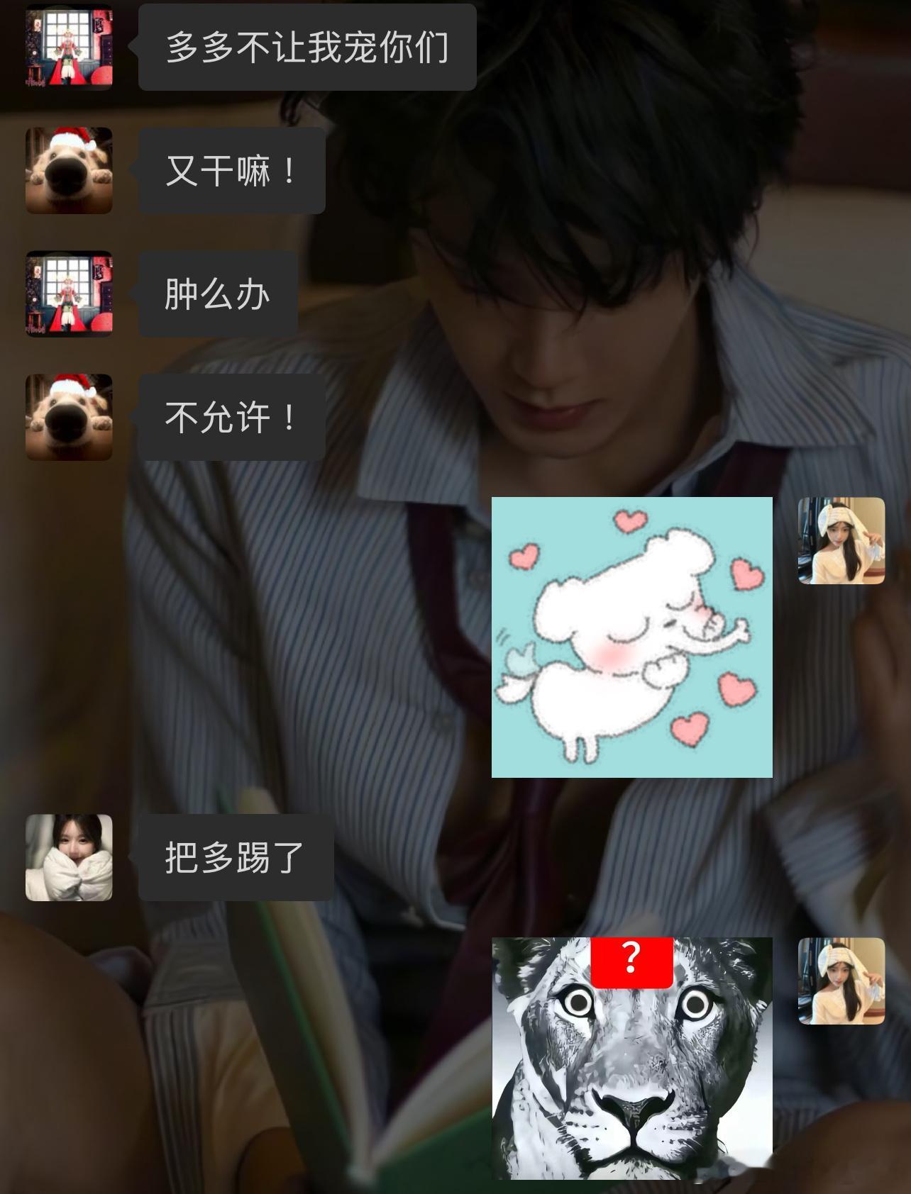 小狗不多鱼  一直在欺负我😭 