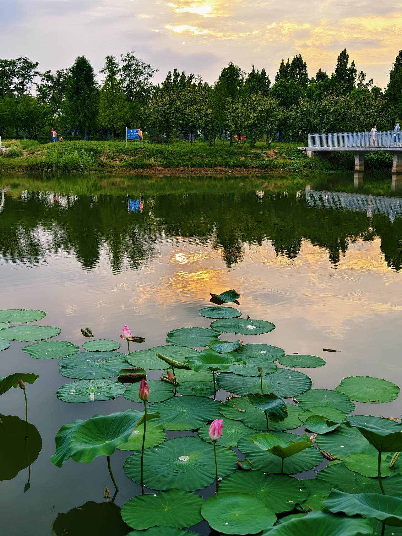 秋雨无心敲落叶，这句上联如一幅淡雅的水墨画，勾勒出秋日的萧瑟与静谧。秋雨淅淅沥沥
