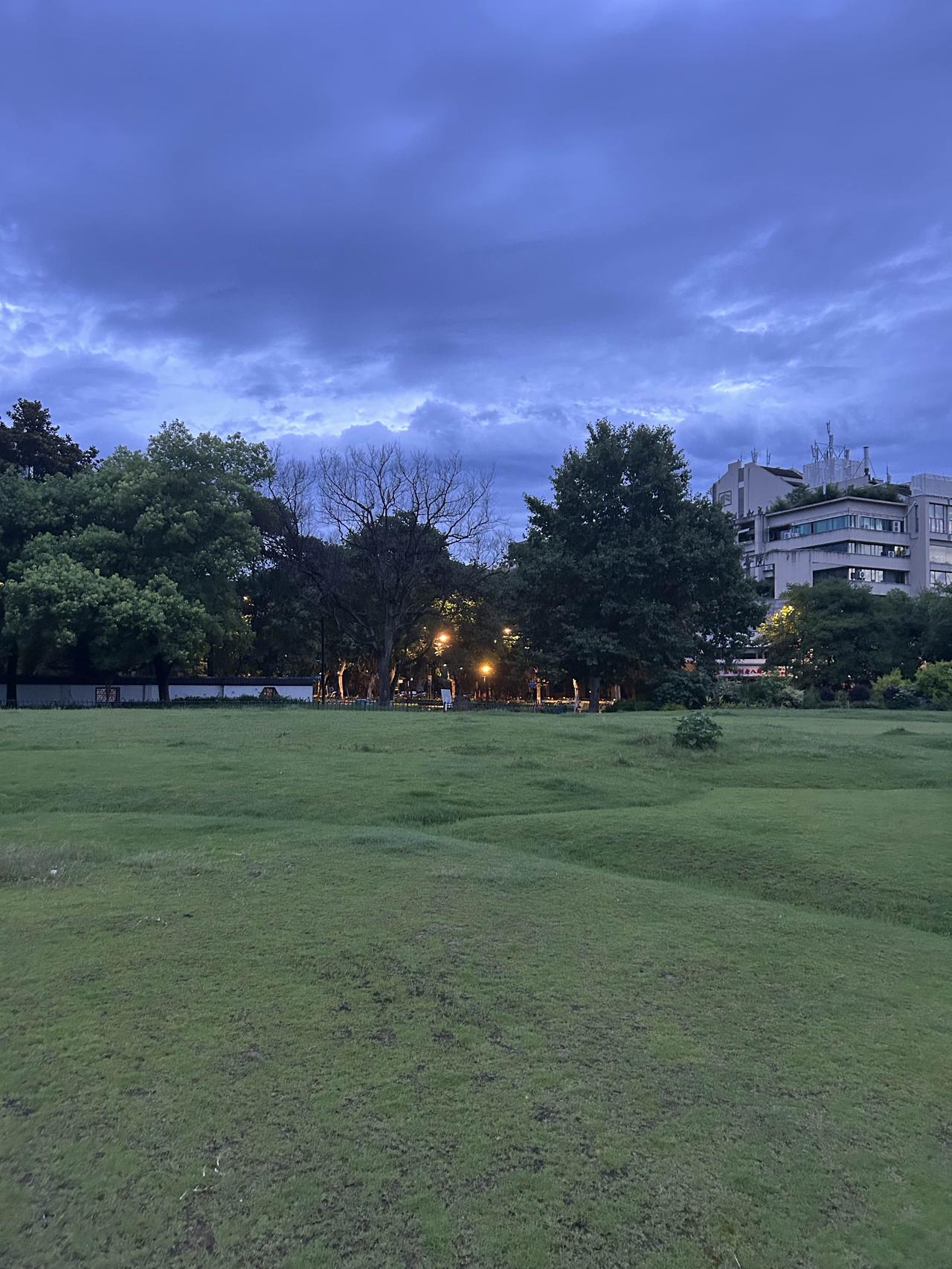 清晨微风拂面，万物慢慢苏醒。
带着一份温柔出发，不慌不忙，认真对待崭新的一天。