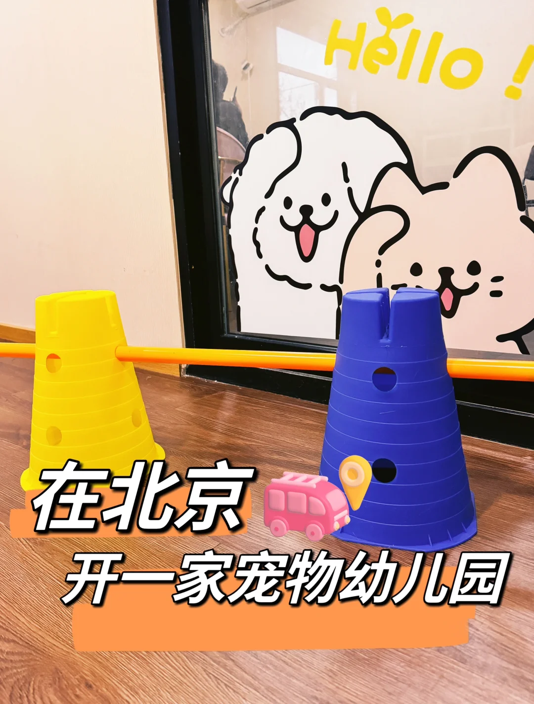 在北京|开一家宠物日托幼儿园