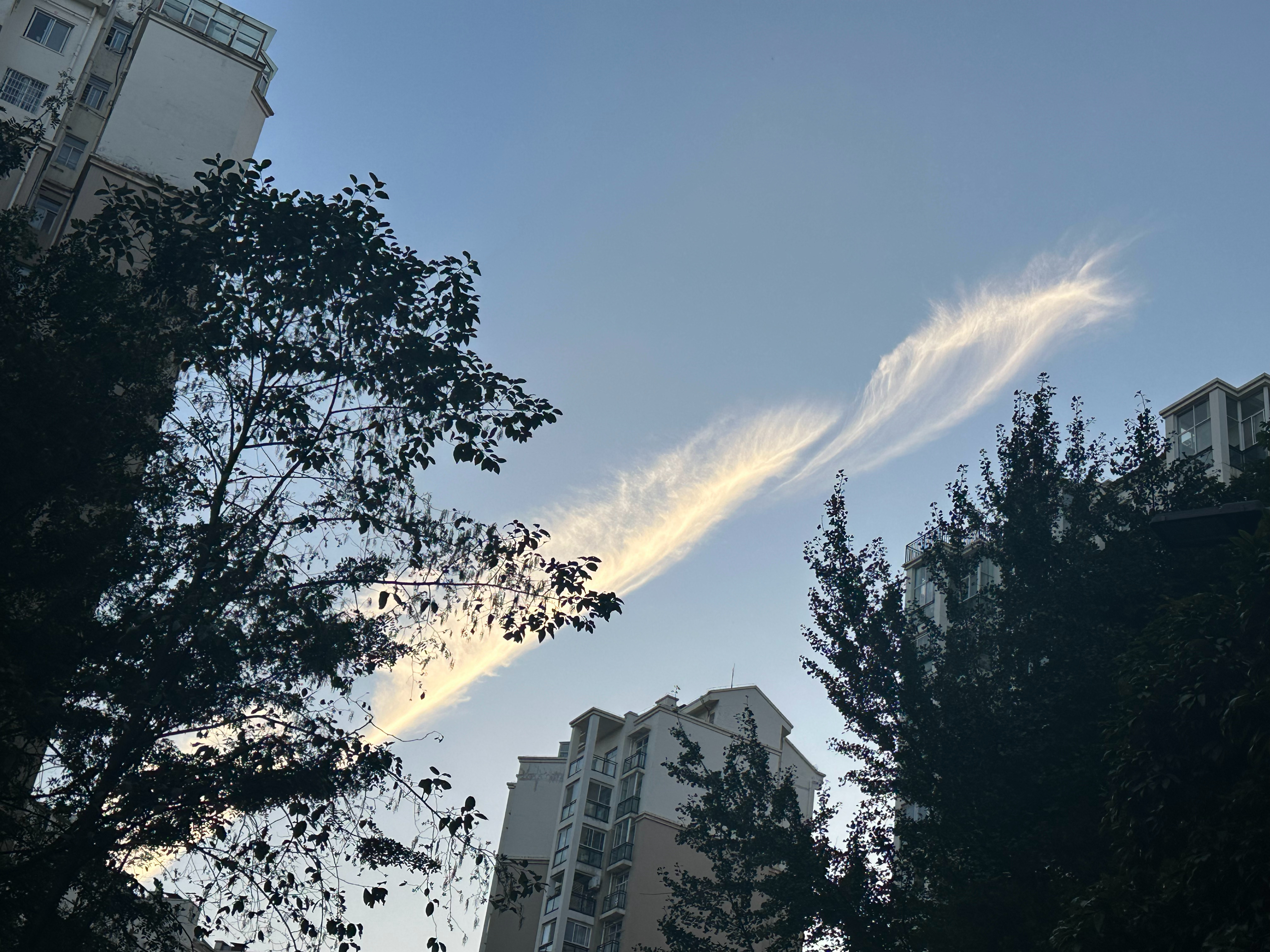 很多人的一生，都在迷茫与上进之间来回摇摆。何时该进，何时该退，里面大有讲究。古人