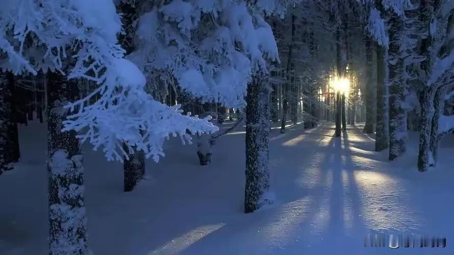 雪夜寂静，树影摇曳。大寒到极点，日后天渐暖。1月20日22时07分，我们共迎大寒