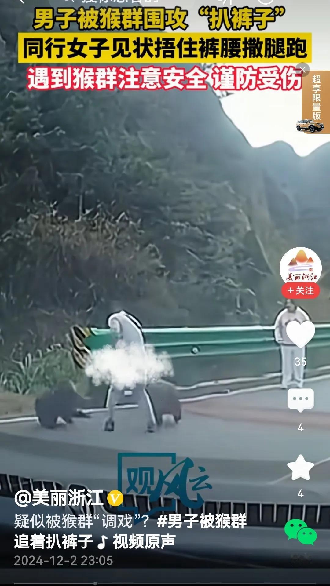 导游回应
猴子扒游人裤子？
视频里看到，游人一男一女下了车，路边“守株待兔”的猴
