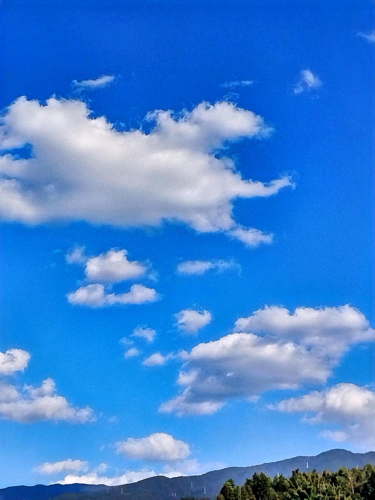 蓝天白云，心旷神怡，美好瞬间，手机随拍。