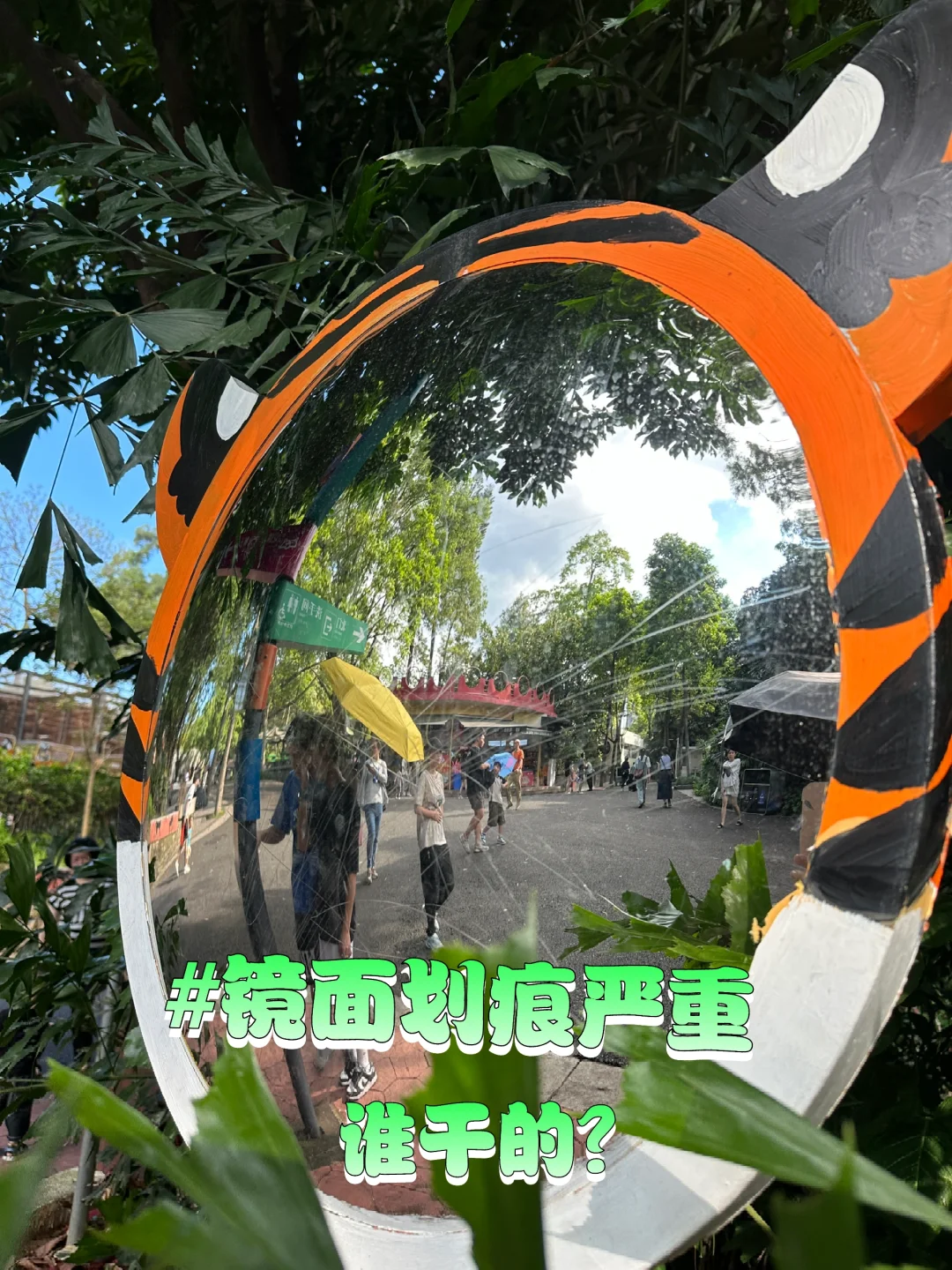 谁？是谁？故意划坏了广动的科普牌和镜子