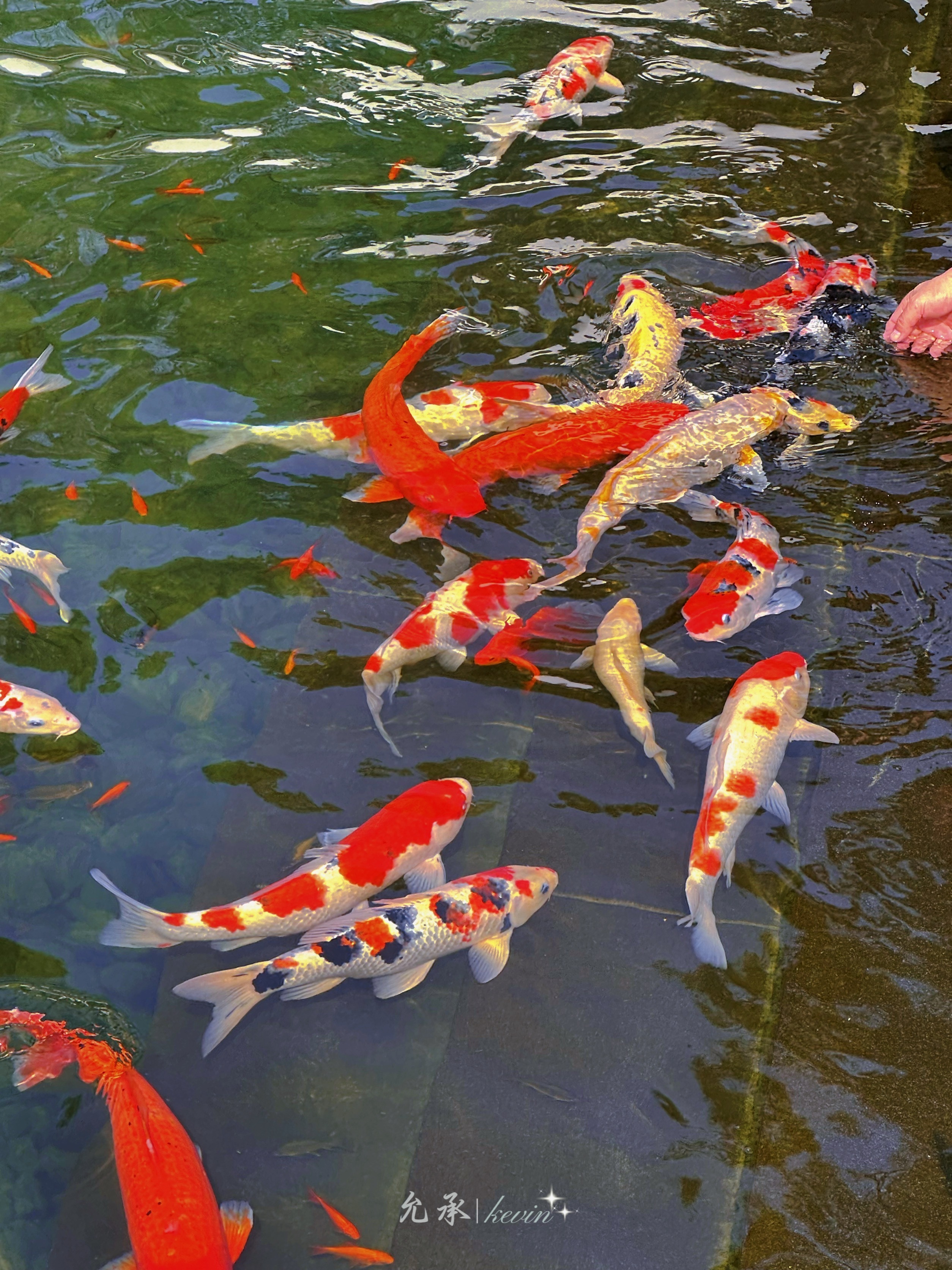 只要心向阳，不管黑暗，走到哪都光明。只要心胸开阔，不管世界再小，走哪都有你一片天