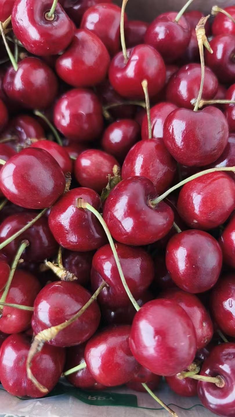 山姆车厘子每斤狂降70元 主要智利车厘子大量上市，价格有点崩了，现在3J规格五斤