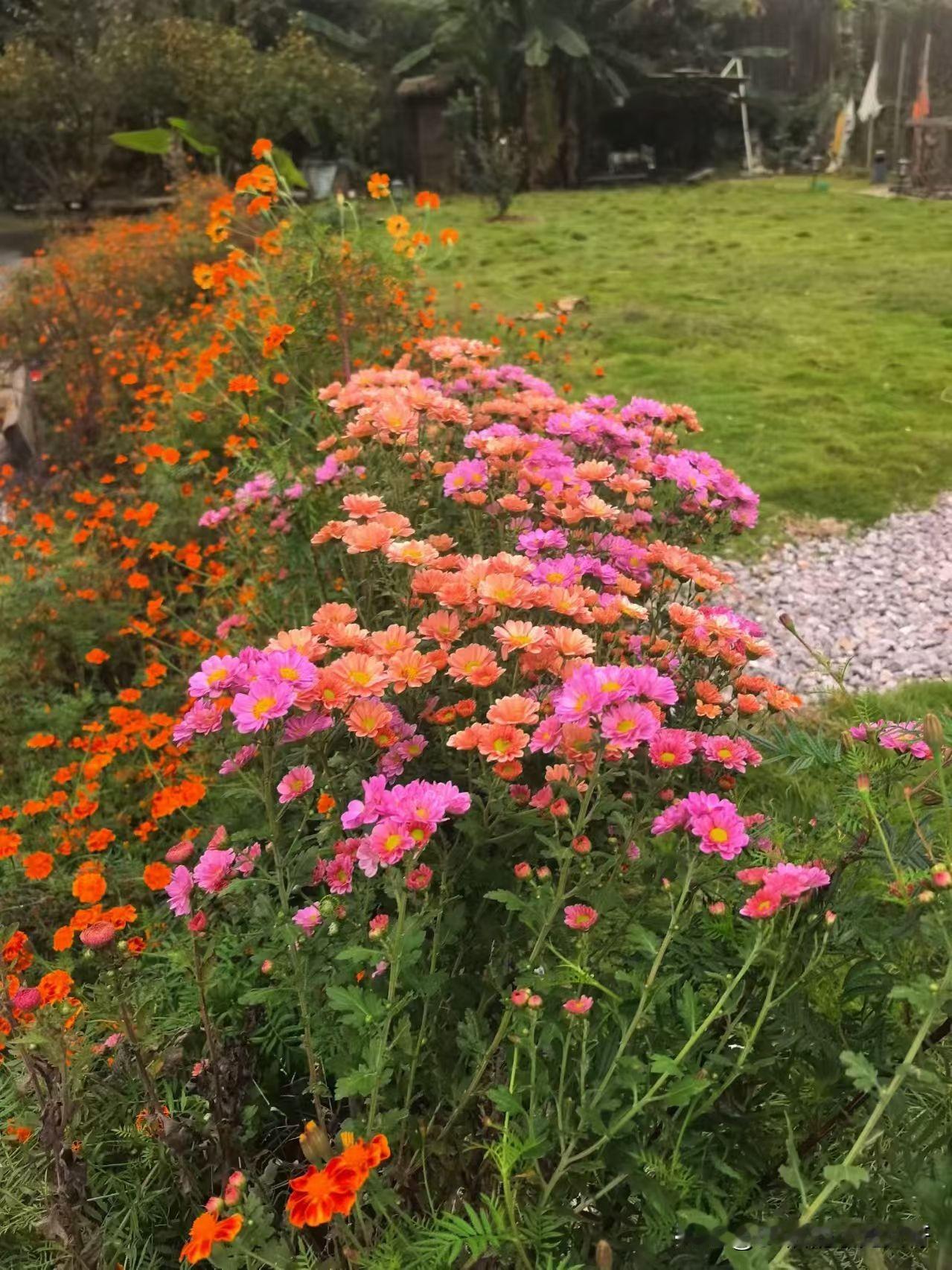 昨天的流量出来了，展现量5503，阅读量68，没有涨粉，但是却有了收益0.04元