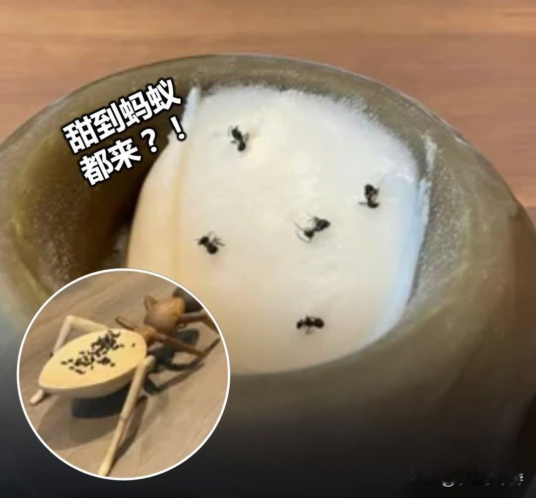 把蚂蚁放进甜品！韩国米其林餐厅被起诉！

韩国首都首尔一间米其林二星餐厅，近日因