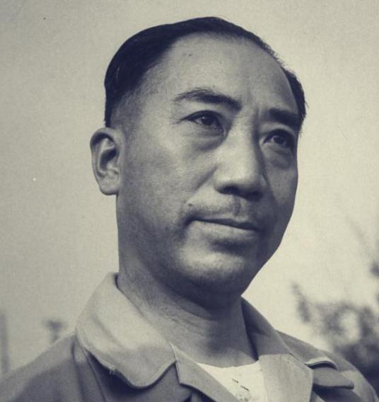 1972年的八宝山，哀乐低回中，宋庆龄站在那里，身形有些摇晃。

宋庆龄抬头看了