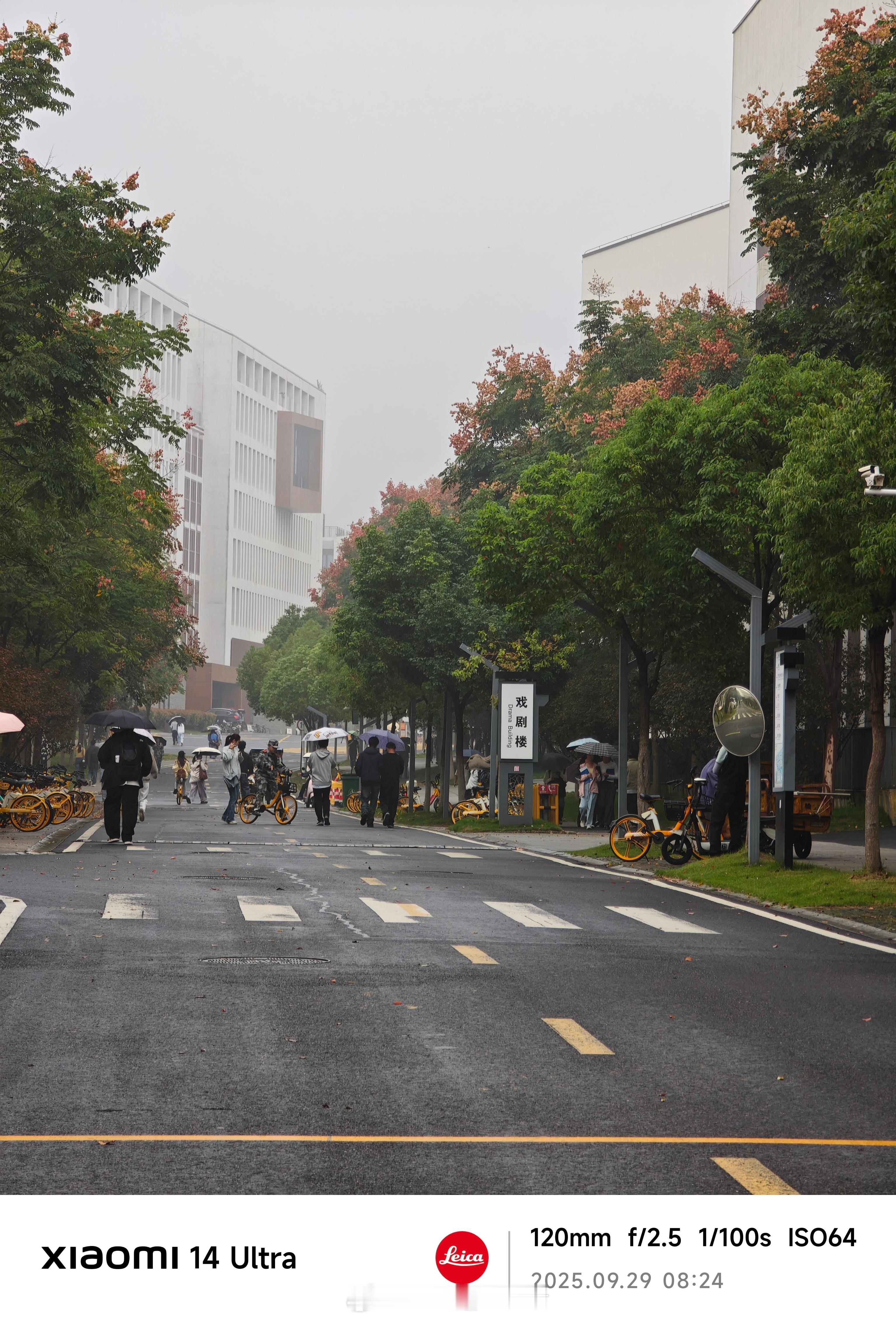 早，这小雨淅沥沥的下，冷起来了啊～[裂开] ​​​