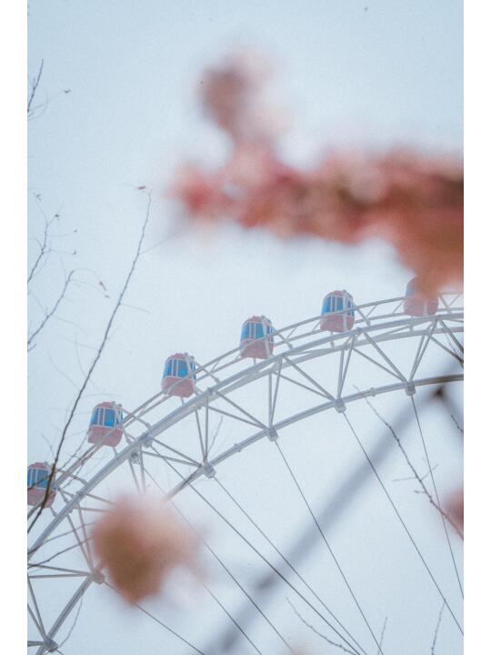 天津之眼桃花已开