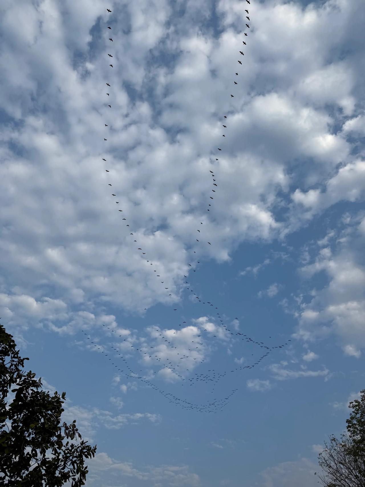 春日生活打卡季