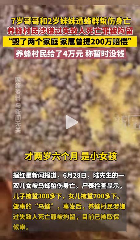 云南兄妹两人被马蜂蜇死后续，养蜂人李先生说200万的赔偿太高，他养蜂去年一年才挣