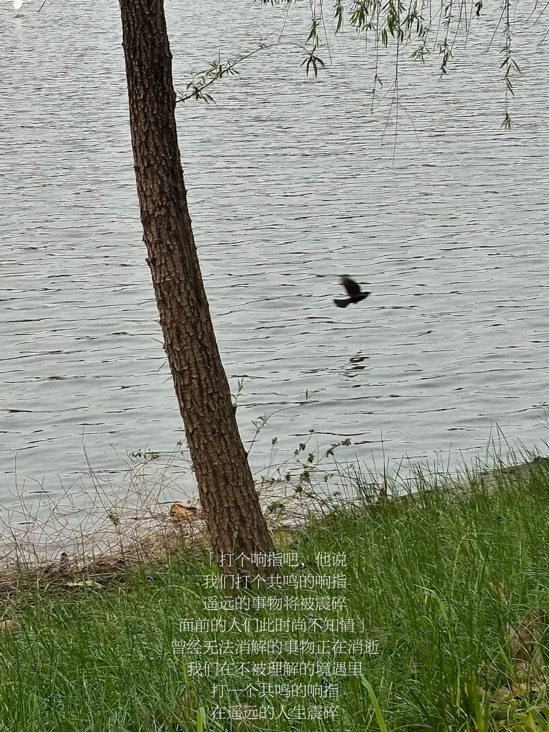 随笔｜被滞留在过往的创伤在相似中愈合