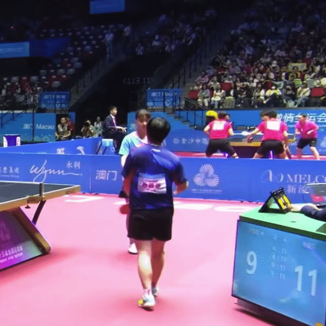 咪拍了拍你 哄一下[柯基] ​​​