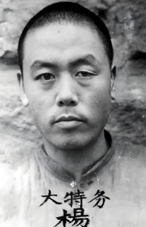 夫妻争吵揪出刽子手：潜伏六年的血债1955年四川南充的夏日午后，田德俊的哭喊炸响