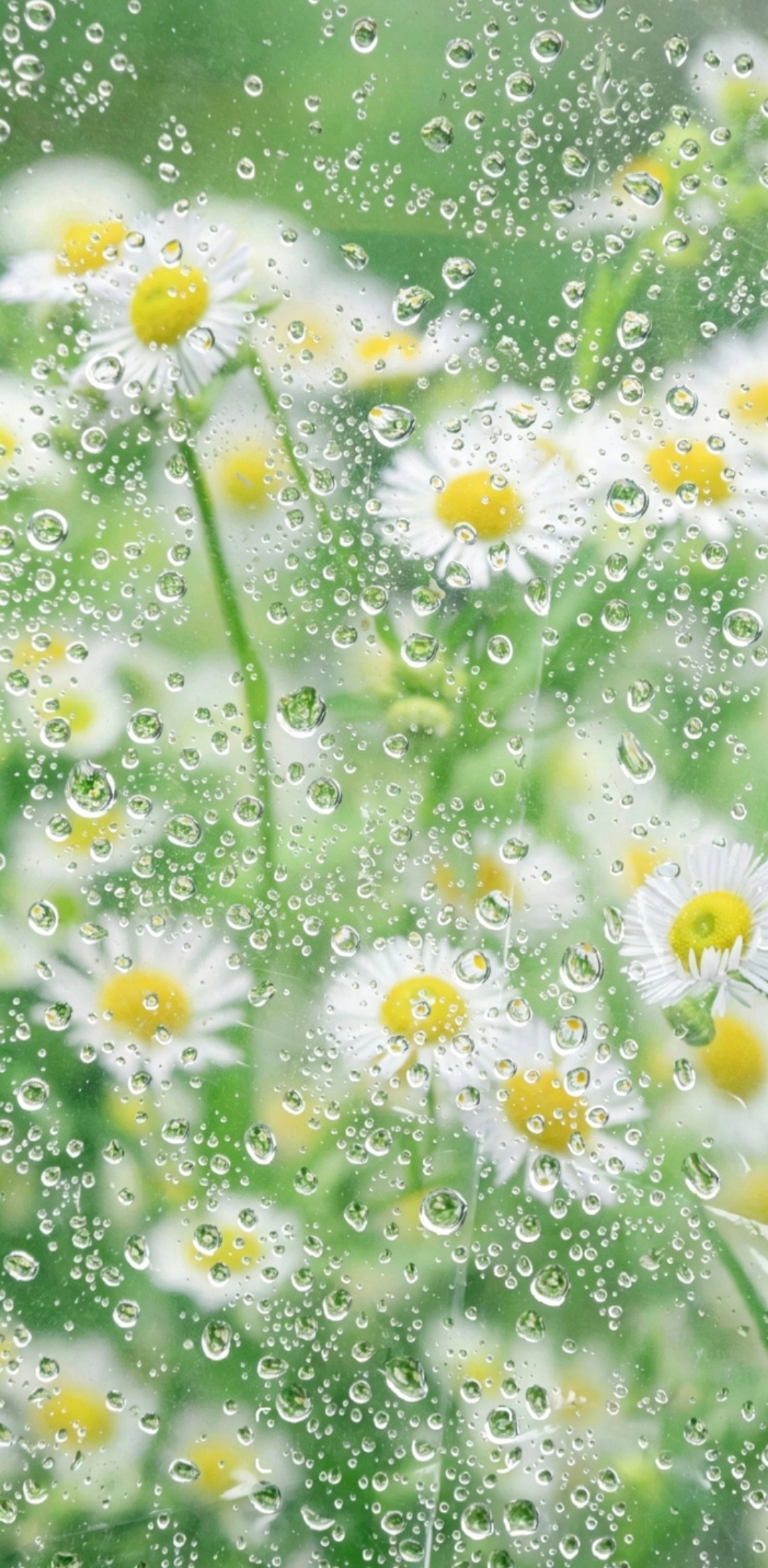 🧡朋友圈文案｜七月emoji日期特殊符号｜emoji颜文字💓夏日清凉壁纸🍉