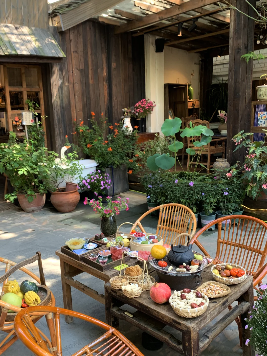 在成都‼️适合喝茶放空的漂亮小院（10家合集）