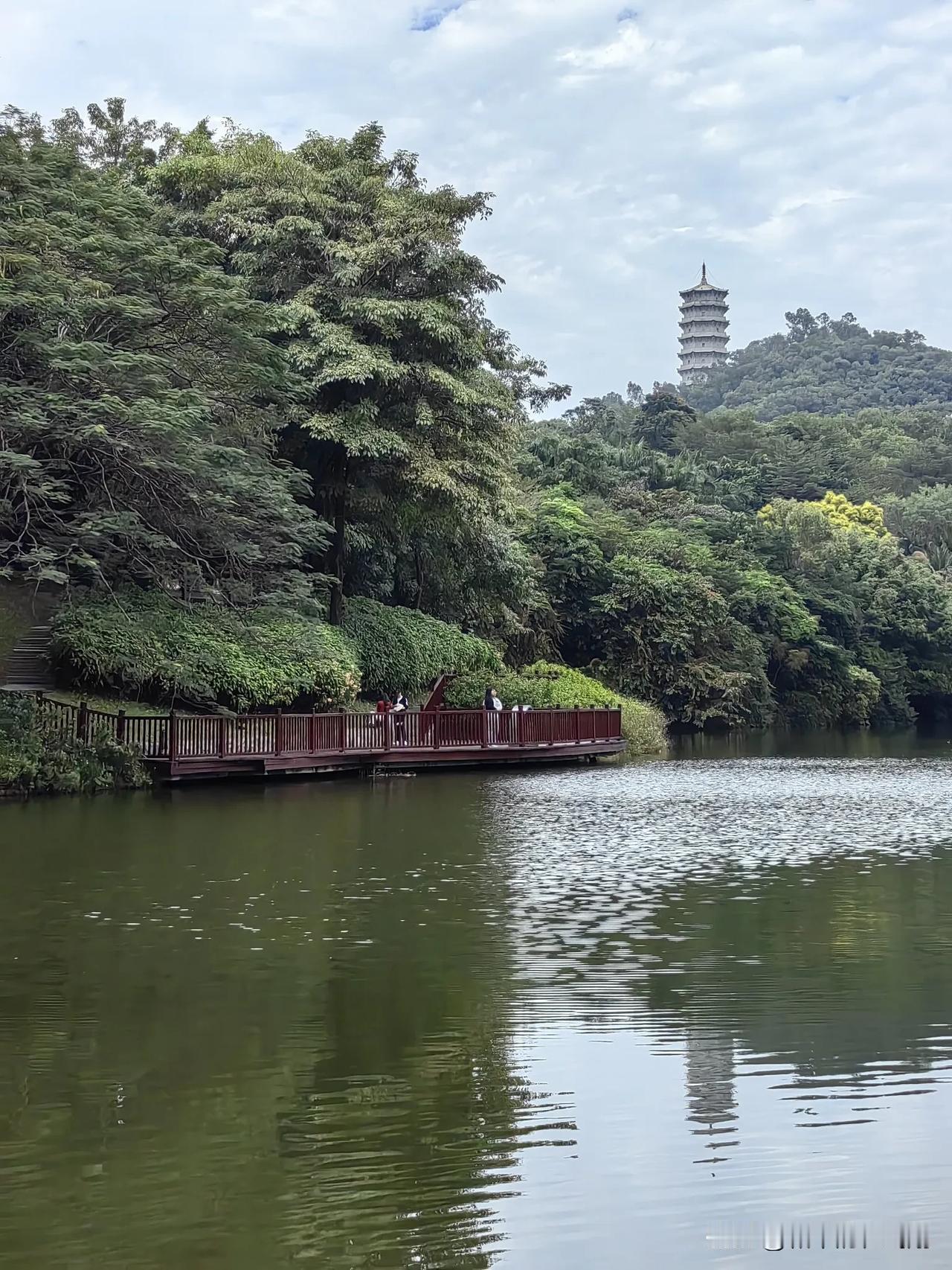 今天，我到深圳园博园里溜达了一圈，发现到处都是美景。可惜是阴天，阳光不够灿烂，照