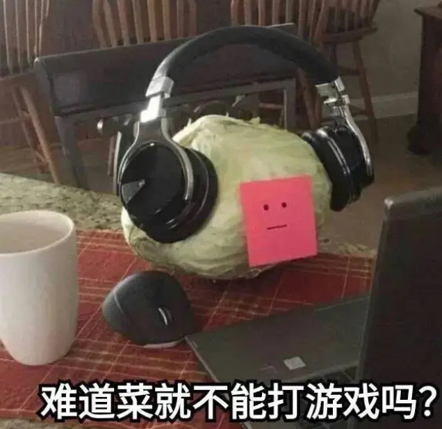 建议大家大量频繁的说话 独居，甚至连一个宠物都没有，但丝毫不担心讲话少思维退化，