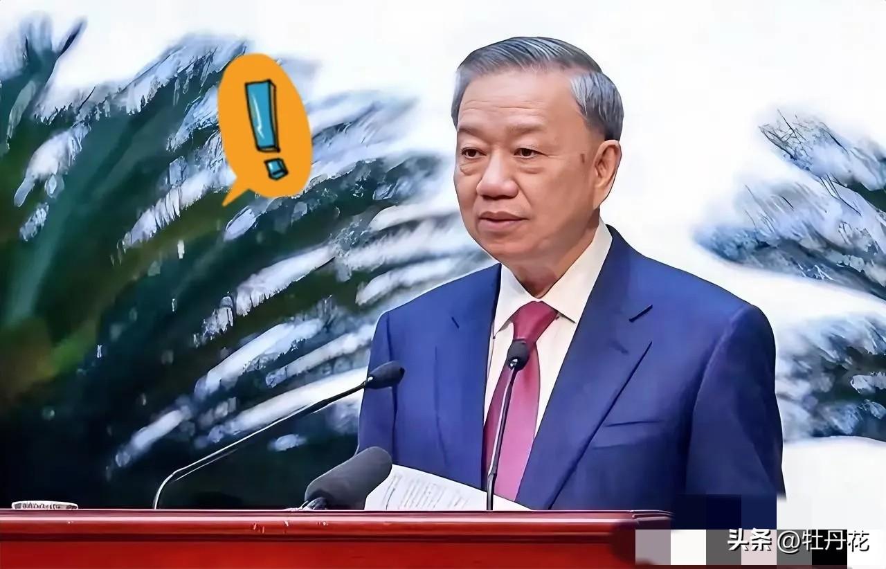 越南传来新消息！
2026年3月19日，越南正式向阿尔及利亚求助，希望确保石油和