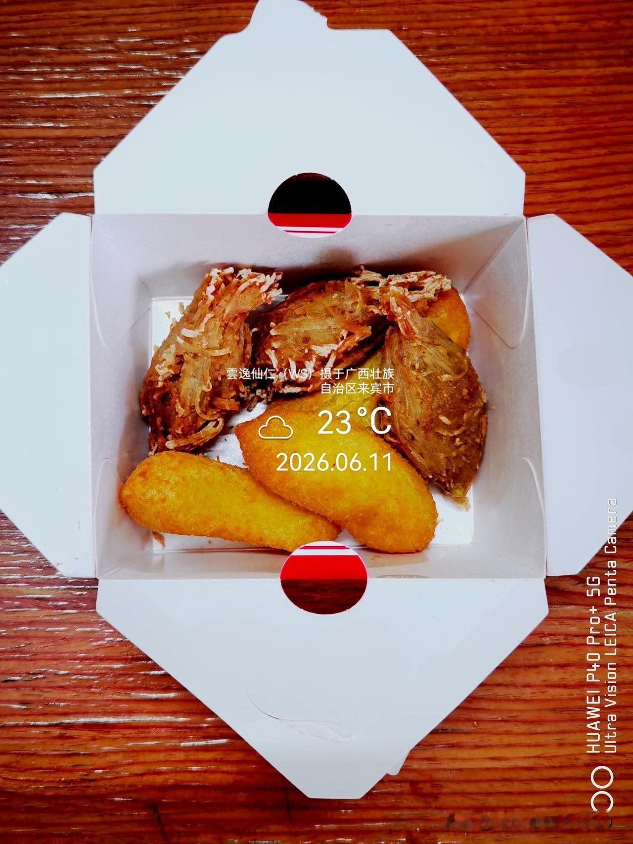 月居生活记录（9900）广西壮族自治区来宾市（125）品尝小吃51：炸金锥榴莲3