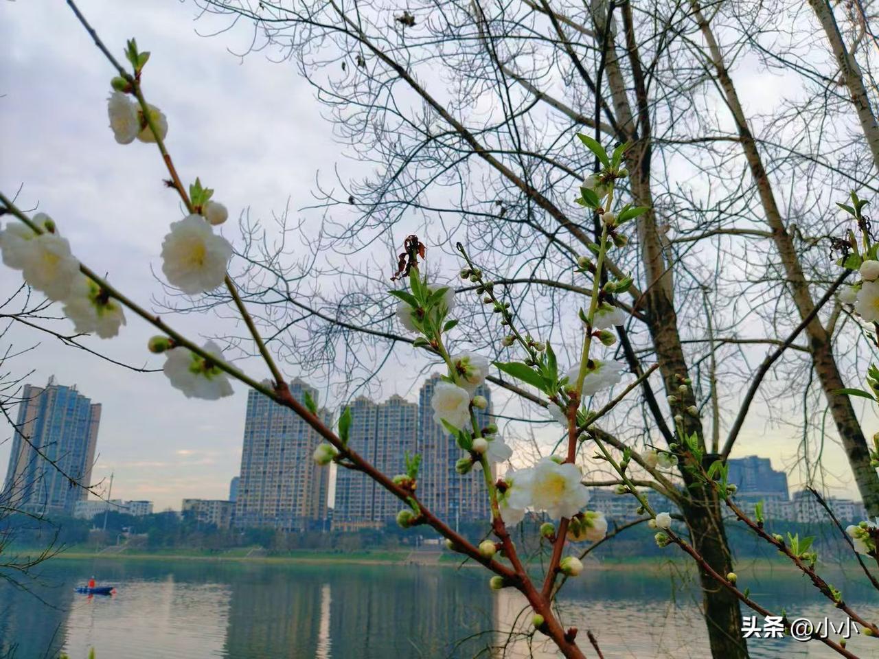 成年人的朋友圈，为什么越来越安静？
 
我忽然懂了。
 
晒加班，像在诉苦邀功；