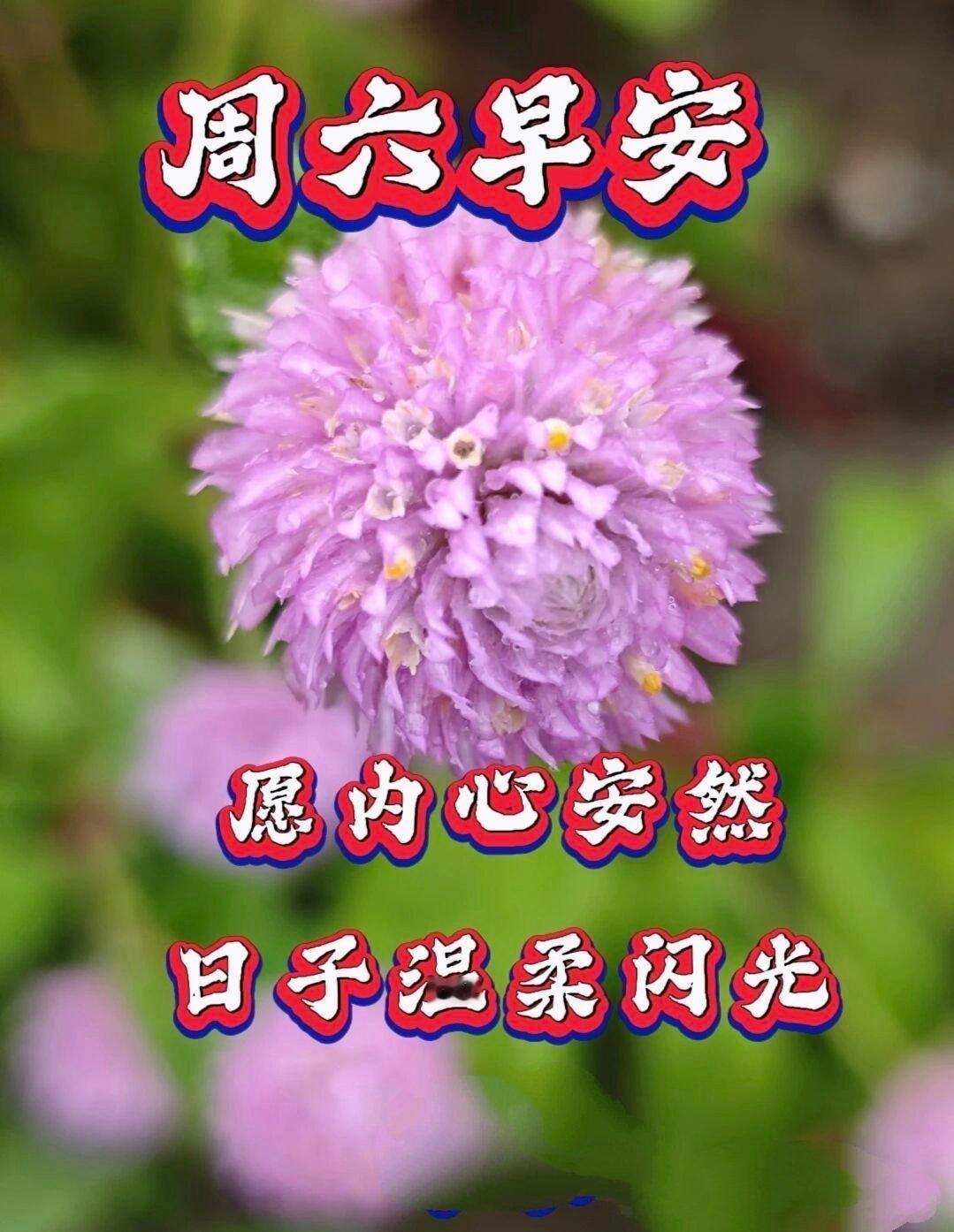 【健康养生】1、虽已入秋，暑湿仍重，养生重在健脾祛湿、清心防暑。饮食少油腻生冷，