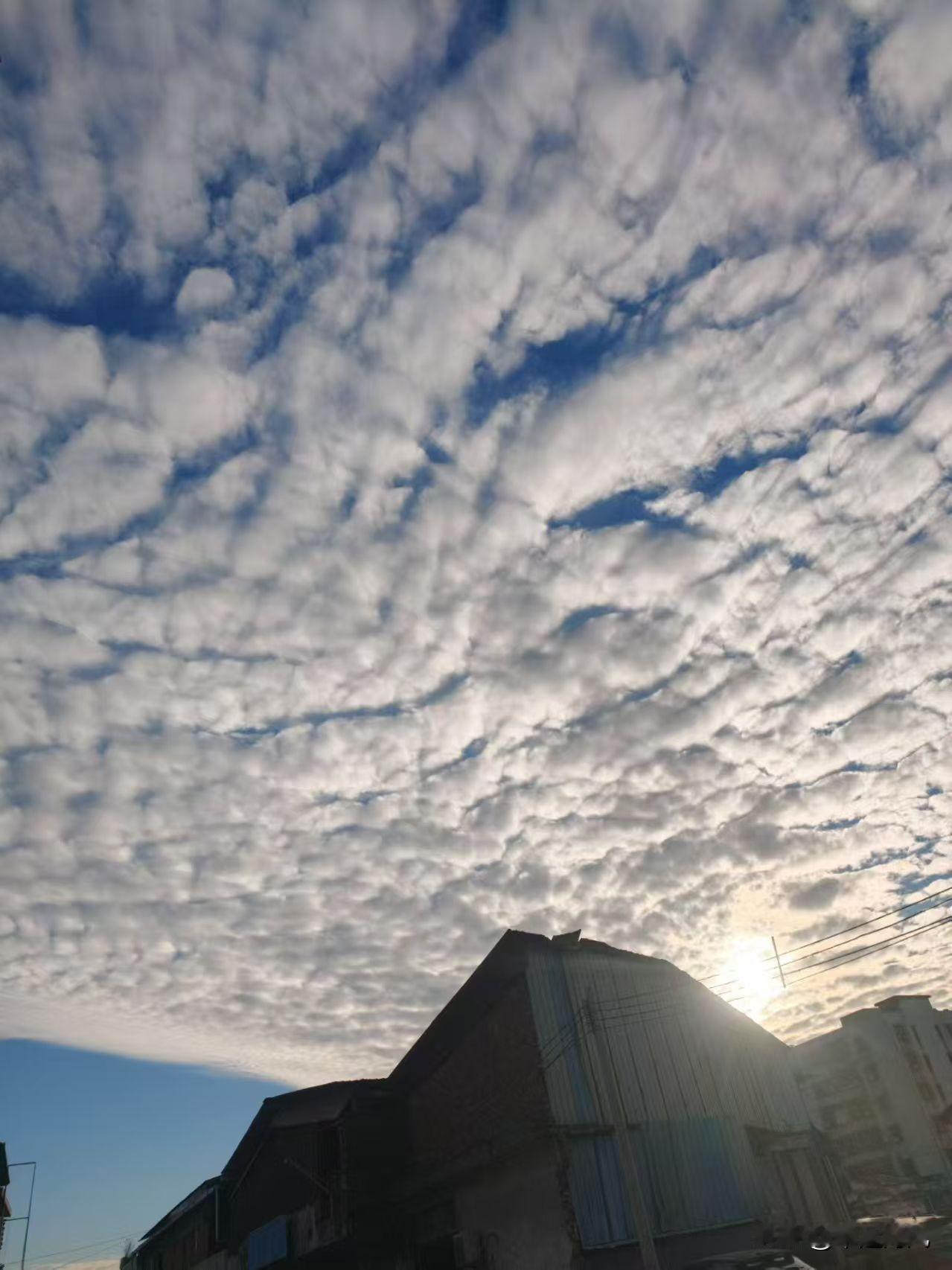 分享一张最近随手拍的照片