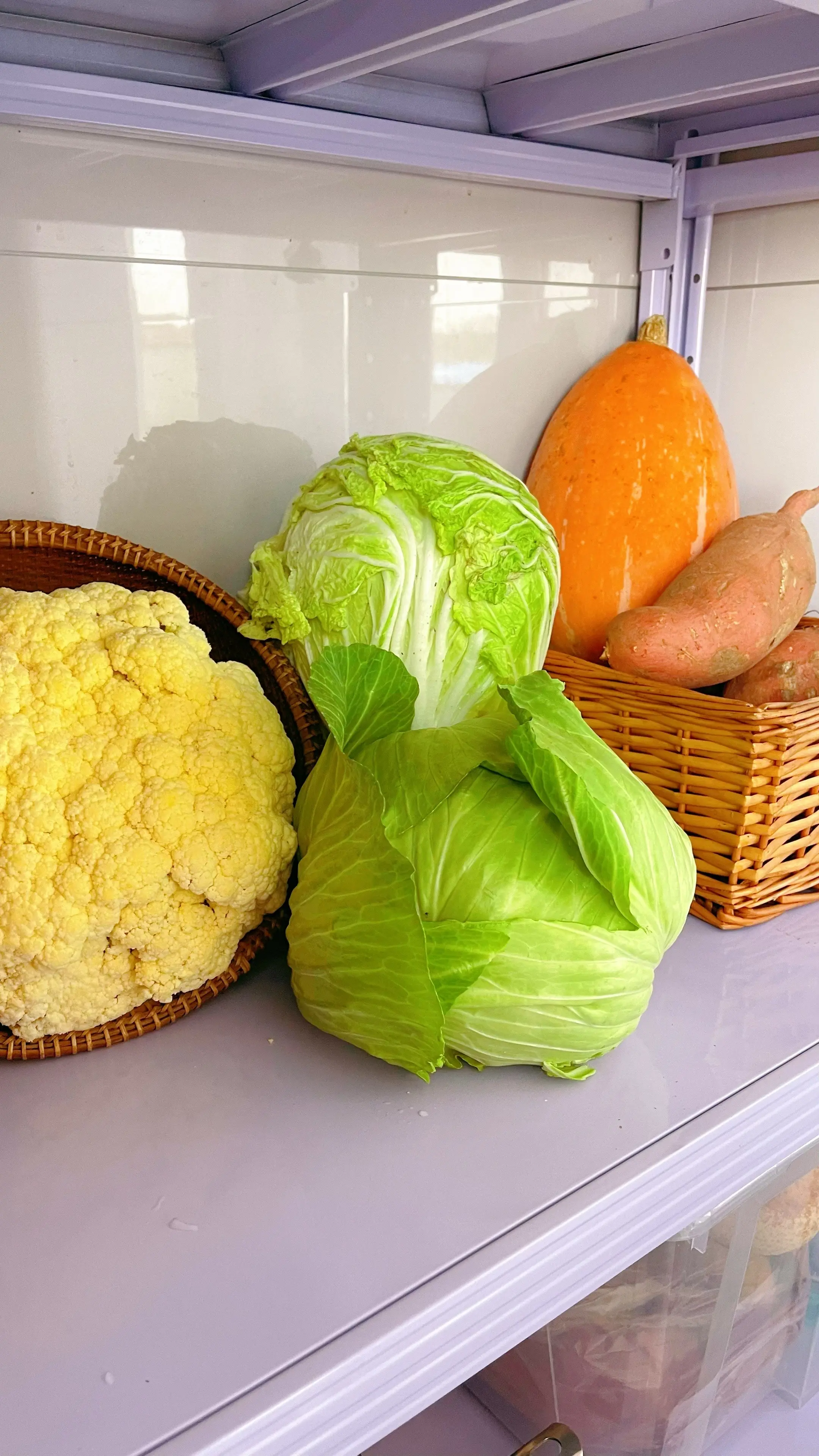 又是热爱生活的一天