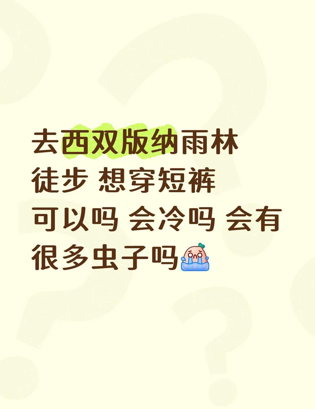 户外登山徒歩 基诺山雨林徒步 徒步穿搭 西双版纳雨林徒步