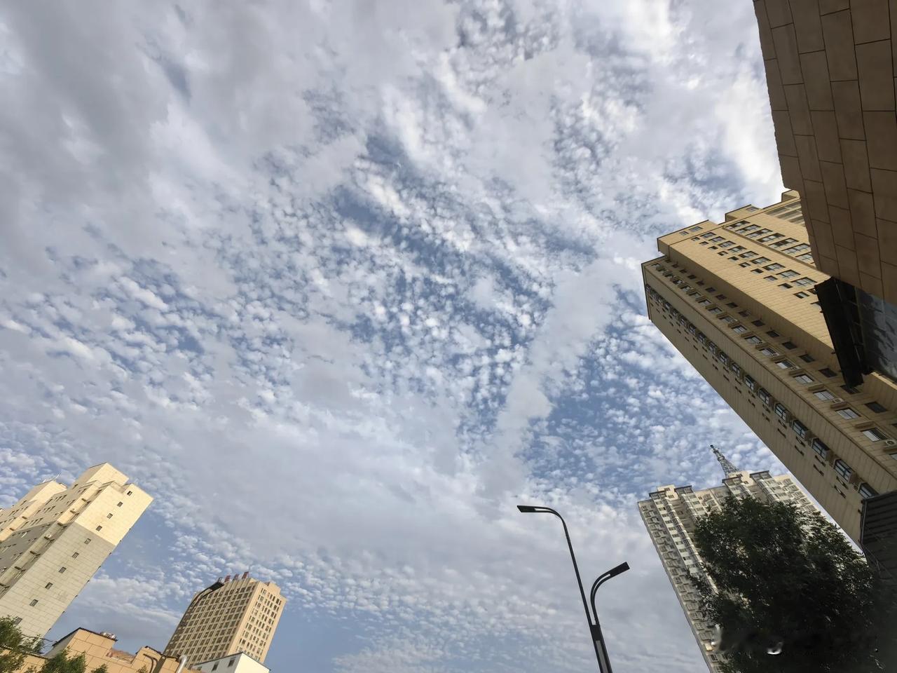解压小良方。如果你郁闷、烦躁、忧虑的时候。清晨漫步在外不妨抬头看看天空，天是那么