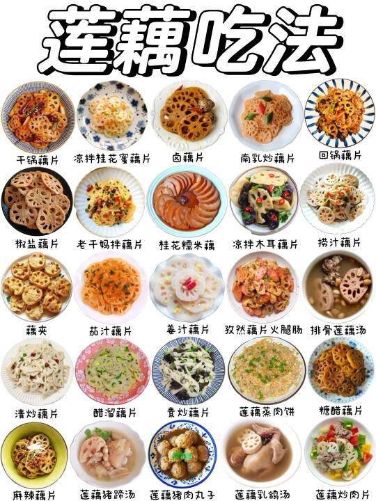莲藕的花样吃法，你最喜欢哪种呢❓