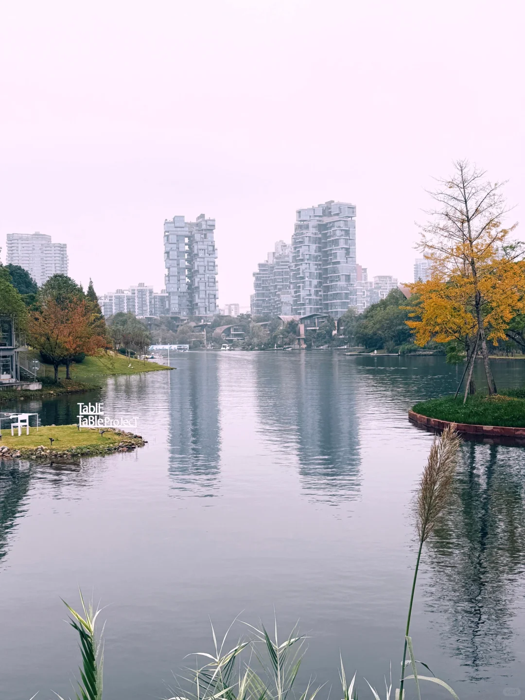 成都阴天氛围感 随手拍～ photo by iPhone 16🎬