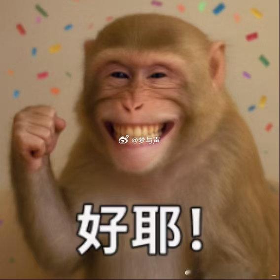 最尊重猴的剧组出现了从影片内容到首映礼伴手礼，猴子相关元素贯穿全程，整套趣味联动