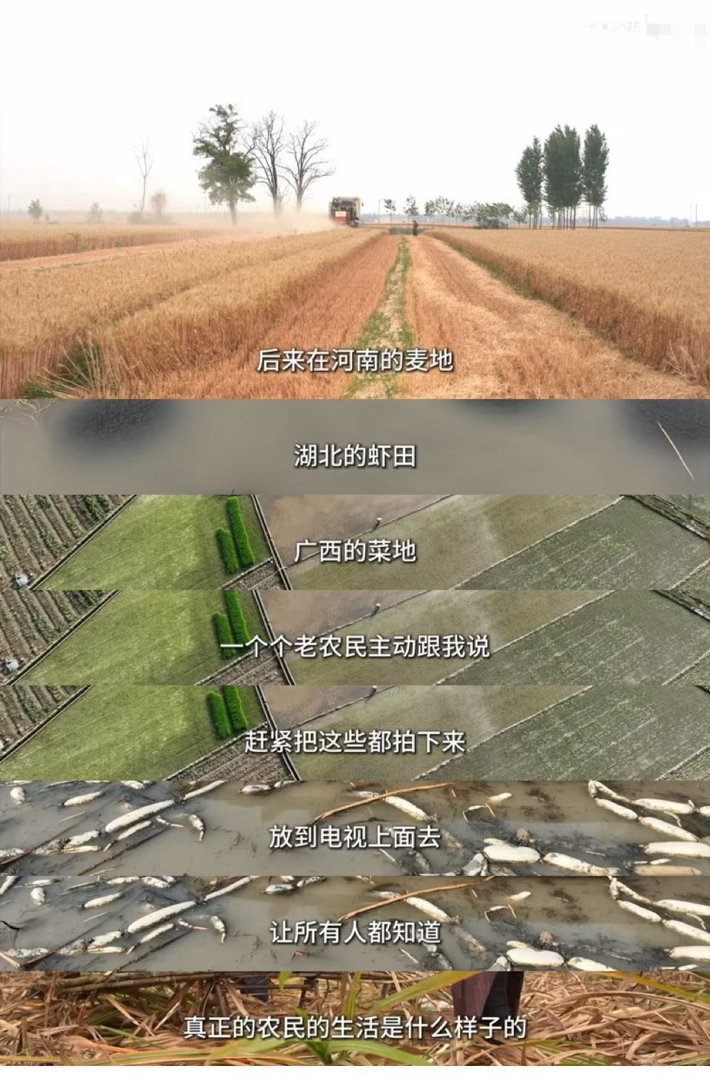 最后一代传统农民正在告别种一亩地，账面赚一千，算上人工全是亏；把地租出去，再被雇