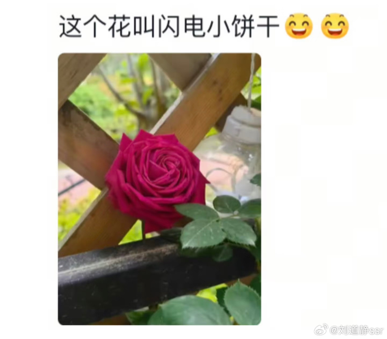 当科学家意识到起名字可以很自由： 