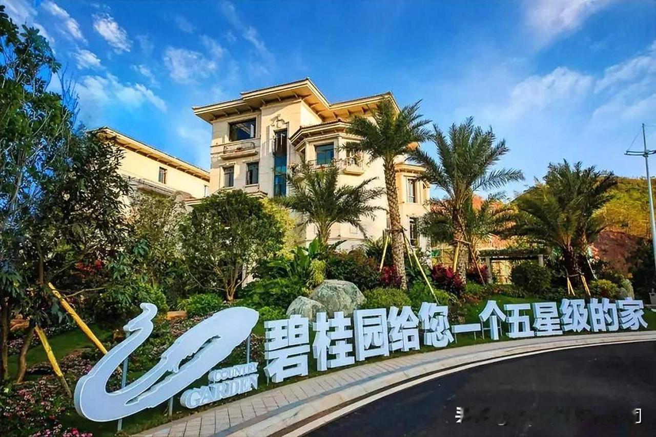 碧桂园2025年扭亏为盈

碧桂园是国内知名的民营房企，2022年度至2024年