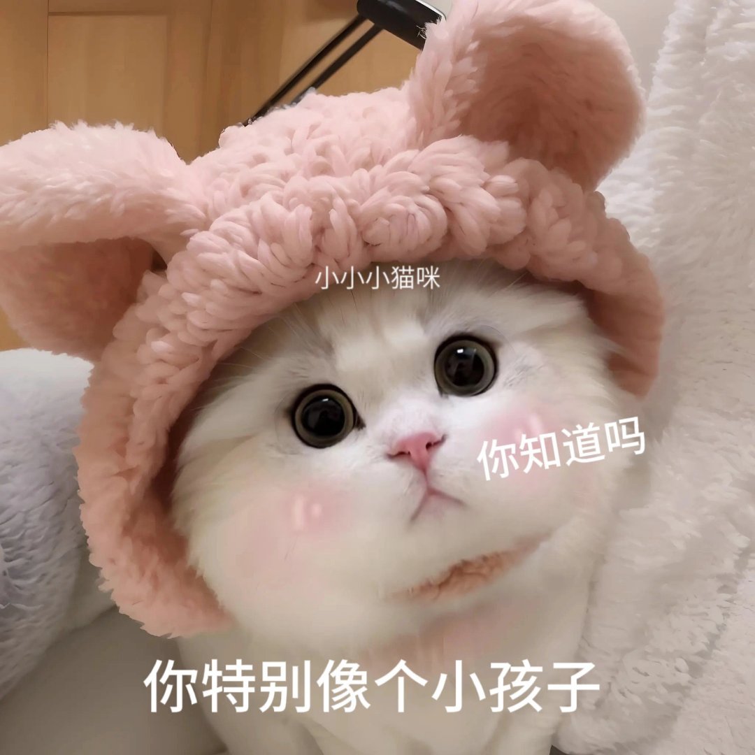 可爱猫咪表情包 ​​​