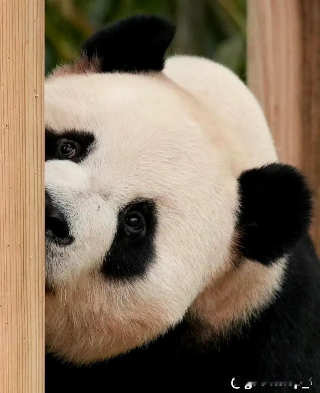 除了最后一张，最近看到的乐宝，都是大明星，都是帅哥，都颠覆了过去，我对他的形象认
