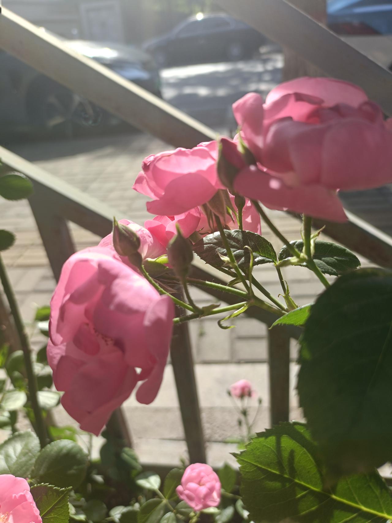 分享一下你随手拍下的照片