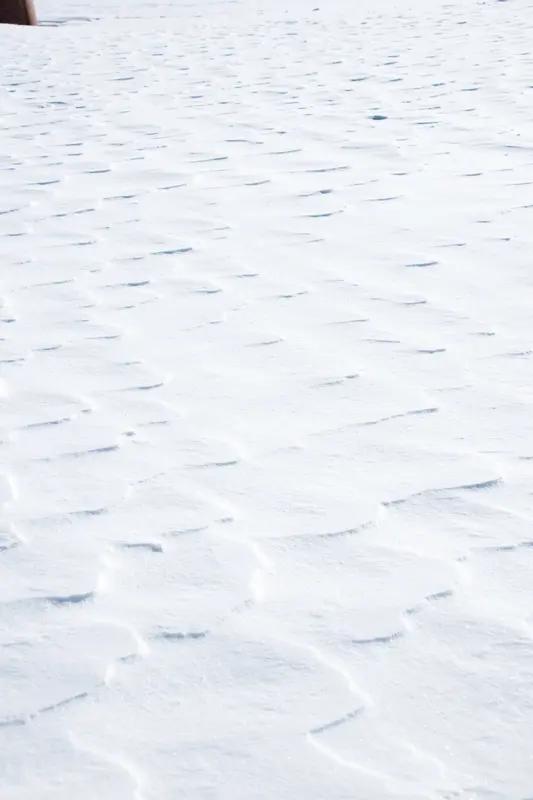 一名女子在雪地中站立8小时，民警误将其视为假人，这一事件再次提醒我们在极端天气下